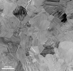Micrographie d'un alliage intermétallique Fer-Aluminium (FeAl)