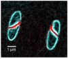 Probe, control and functionalize the magnetism of matter