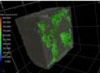 X-Ray Diffraction, Mössbauer Spectroscopy, Tomography