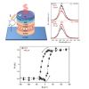 Structure et émission optique d’une spin-LED avec un injecteur Mo/CoFeB/MgO possédant une anisotropie magnétique perpendiculaire