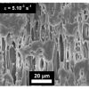 Image MEB lors d’un essai de Videotraction sur du PP/EPR à T=30°C et pour une déformation résiduelle de 1,2 montrant le phénomène d’endommagement par cavitation