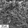 Mousse de graphène dopé à l’azote : catalyseur sans platine pour la réaction de réduction de l’oxygène dans la pile à combustible à membrane échangeuse de protons