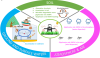 Schematic illustration of environmental pollution by glyphosate.