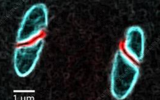 Probe, control and functionalize the magnetism of matter