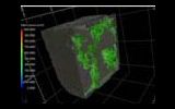 X-Ray Diffraction, Mössbauer Spectroscopy, Tomography